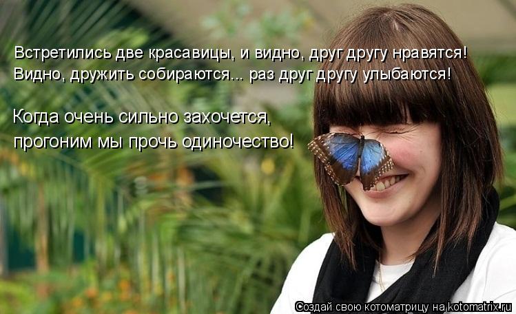 Котоматрица: Встретились две красавицы, и видно, друг другу нравятся! Видно, дружить собираются... раз друг другу улыбаются! прогоним мы прочь одиночеств