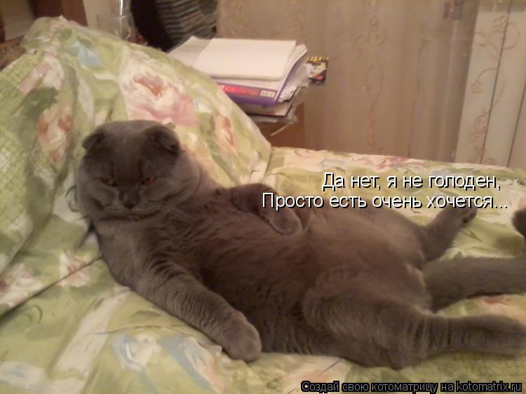 Да нет, я не голоден, Просто есть очень хочется...... Котоматрица: Да нет, я не голоден, Просто есть очень хочется...