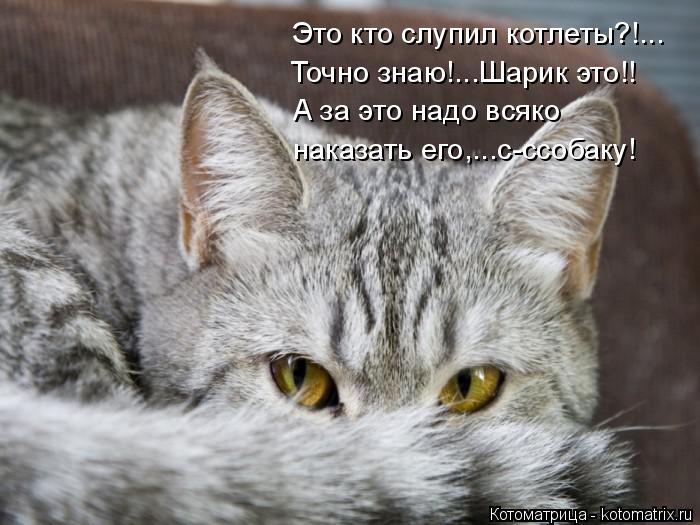 Котоматрица: Это кто слупил котлеты?!... Точно знаю!...Шарик это!! А за это надо всяко наказать его,...с-ссобаку!