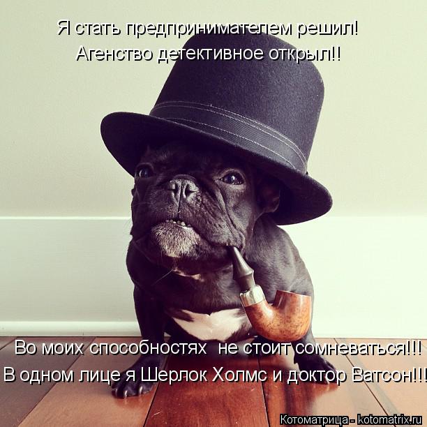 Я стать предпринимателем решил! Агенство детективное открыл!! Во моих способностях не стоит сомневат... Котоматрица: Я стать предпринимателем решил! Агенство детективное открыл!! Во моих способностях не стоит сомневаться!!! В одном лице я Шерлок Холмс и док