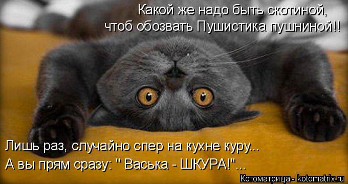 Какой же надо быть скотиной, чтоб обозвать Пушистика пушниной!! Лишь раз, случайно спер на кухне куру... Котоматрица: Какой же надо быть скотиной, чтоб обозвать Пушистика пушниной!! Лишь раз, случайно спер на кухне куру... А вы прям сразу: " Васька - ШКУРА!"...