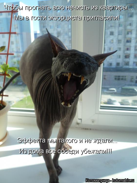 Чтобы прогнать всю нечисть из квартиры... Мы в гости экзорциста пригласили! Эффекта мы такого и не жд... Котоматрица: Чтобы прогнать всю нечисть из квартиры... Мы в гости экзорциста пригласили! Эффекта мы такого и не ждали... Из дома все соседи убежали!!!