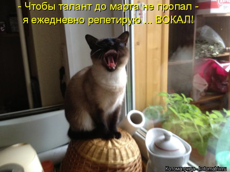 - Чтобы талант до марта не пропал - я ежедневно репетирую ... ВОКАЛ!... Котоматрица: - Чтобы талант до марта не пропал - я ежедневно репетирую ... ВОКАЛ!