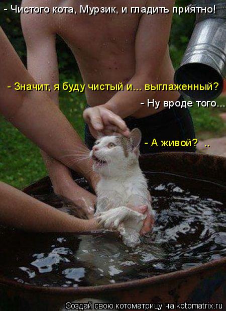 - Чистого кота, Мурзик, и гладить приятно! - А живой? .. - Ну вроде того... - Значит, я буду чистый ... Котоматрица: - Чистого кота, Мурзик, и гладить приятно! - А живой? .. - Ну вроде того... - Значит, я буду чистый и... выглаженный?