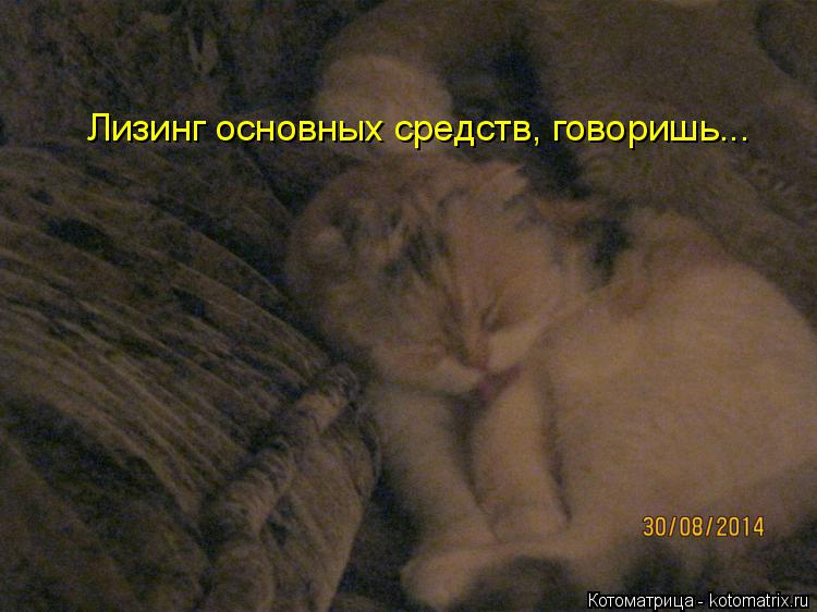 Котоматрица: Лизинг основных средств, говоришь...