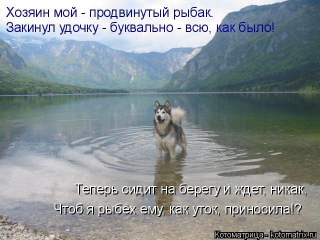 Хозяин мой - продвинутый рыбак. Закинул удочку - буквально - всю, как было! Теперь сидит на берегу и ... Котоматрица: Хозяин мой - продвинутый рыбак. Закинул удочку - буквально - всю, как было! Теперь сидит на берегу и ждет, никак, Чтоб я рыбёх ему, как уток, при