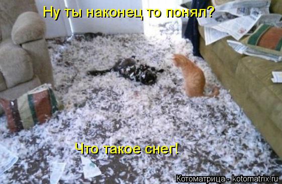 Котоматрица: Ну ты наконец то понял? Что такое снег!