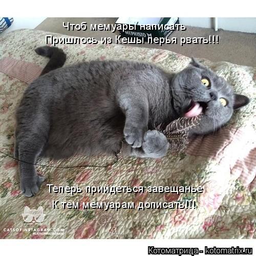 Котоматрица: Чтоб мемуары написать  Пришлось из Кешы перья рвать!!! Теперь прийдеться завещанье К тем мемуарам дописать!!!