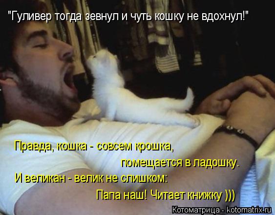 Котоматрица: "Гуливер тогда зевнул и чуть кошку не вдохнул!" Правда, кошка - совсем крошка,  помещается в ладошку. И великан - велик не слишком: Папа наш! Чит