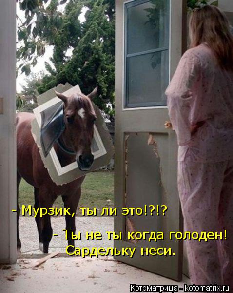- Мурзик, ты ли это!?!? - Ты не ты когда голоден! Сардельку неси.... Котоматрица: - Мурзик, ты ли это!?!? - Ты не ты когда голоден! Сардельку неси.