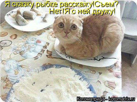 Я сказку рыбке расскажу!Съем? Нет!Я с ней дружу!... Котоматрица: Я сказку рыбке расскажу!Съем? Нет!Я с ней дружу!