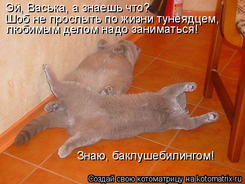Знаю, баклушебилингом! Эй, Васька, а знаешь что? Шоб не прослыть по жизни тунеядцем, любимым делом на... Котоматрица: Знаю, баклушебилингом! Эй, Васька, а знаешь что? Шоб не прослыть по жизни тунеядцем, любимым делом надо заниматься!