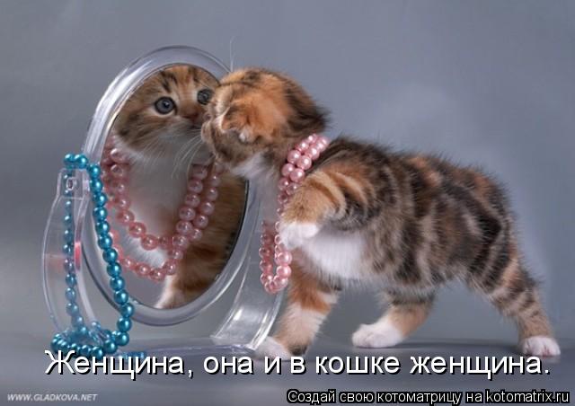 Женщина, она и в кошке женщина.... Котоматрица: Женщина, она и в кошке женщина.