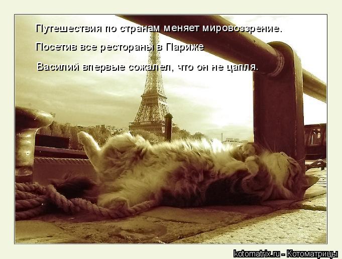 Путешествия по странам меняет мировоззрение. Посетив все рестораны в Париже Василий впервые сожалел, ... Котоматрица: Путешествия по странам меняет мировоззрение. Посетив все рестораны в Париже Василий впервые сожалел, что он не цапля.