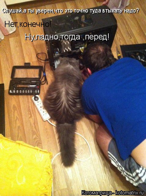 Слушай,а ты уверен,что это точно туда втыкать надо? Ну,ладно,тогда ,перед! Нет,конечно!... Котоматрица: Слушай,а ты уверен,что это точно туда втыкать надо? Ну,ладно,тогда ,перед! Нет,конечно!