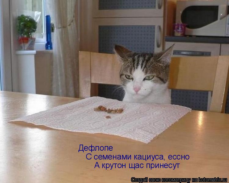 Дефлопе С семенами кациуса, ессно А крутон щас принесут... Котоматрица: Дефлопе С семенами кациуса, ессно А крутон щас принесут