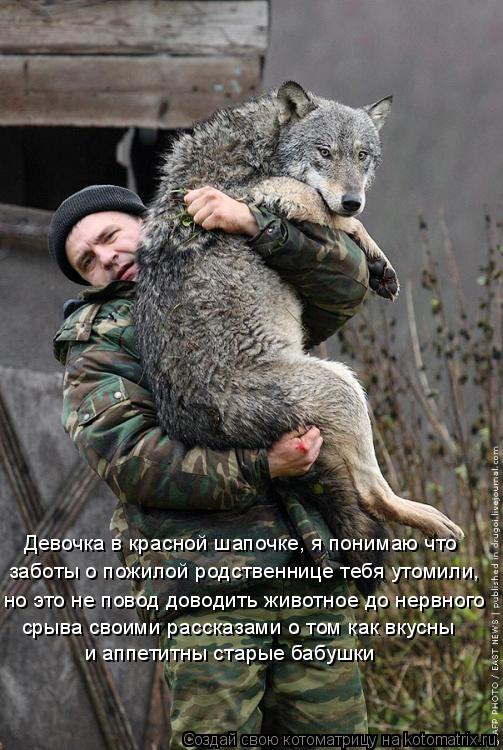 Котоматрица: Девочка в красной шапочке, я понимаю что заботы о пожилой родственнице тебя утомили, но это не повод доводить животное до нервного срыва св
