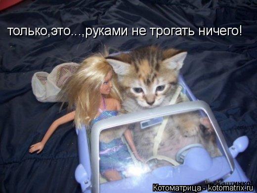 только,это...,руками не трогать ничего!... Котоматрица: только,это...,руками не трогать ничего!