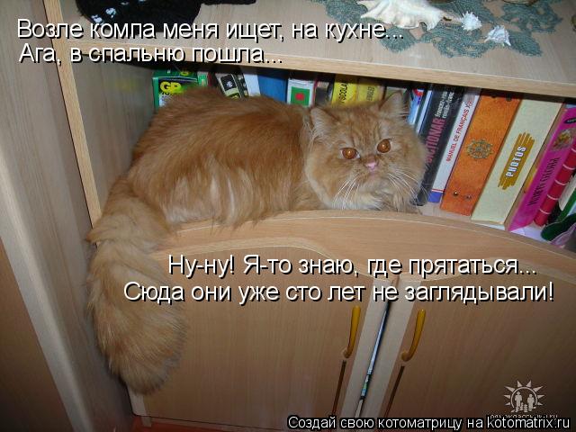 Возле компа меня ищет, на кухне... Ага, в спальню пошла... Ну-ну! Я-то знаю, где прятаться... Сюда о... Котоматрица: Возле компа меня ищет, на кухне... Ага, в спальню пошла... Ну-ну! Я-то знаю, где прятаться... Сюда они уже сто лет не заглядывали!