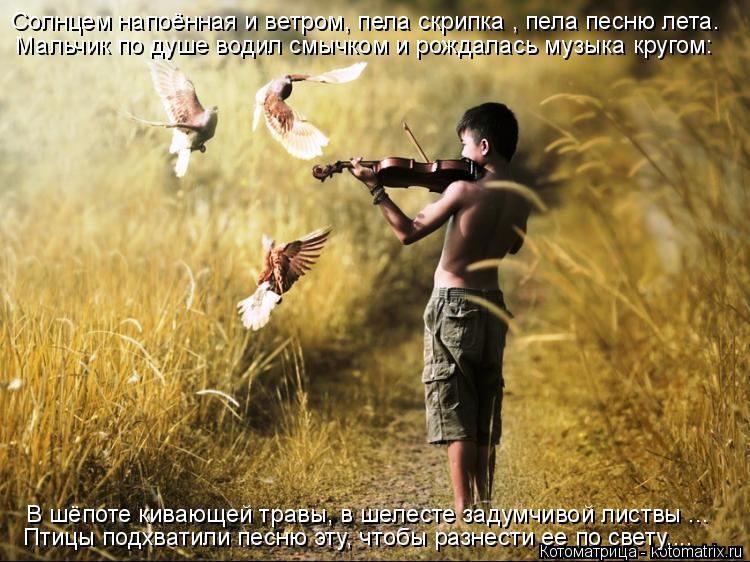 Мальчик по душе водил смычком и рождалась музыка кругом: Птицы подхватили песню эту, чтобы разнести е... Котоматрица: Мальчик по душе водил смычком и рождалась музыка кругом: Птицы подхватили песню эту, чтобы разнести ее по свету.... В шёпоте кивающей травы,