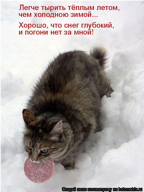Котоматрица: Легче тырить тёплым летом,  чем холодною зимой... Хорошо, что снег глубокий,  и погони нет за мной!