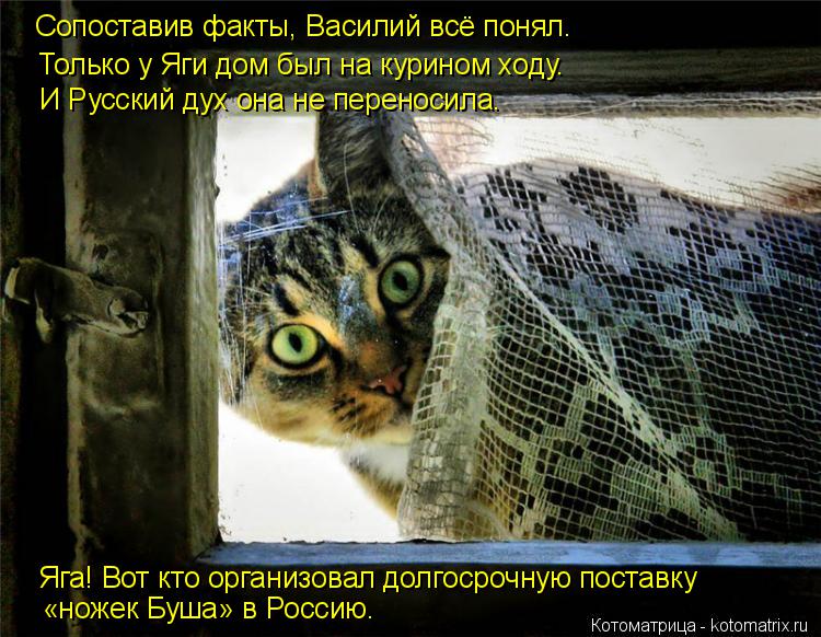 Котоматрица: Сопоставив факты, Василий всё понял. Только у Яги дом был на курином ходу. И Русский дух она не переносила. Яга! Вот кто организовал долгосро