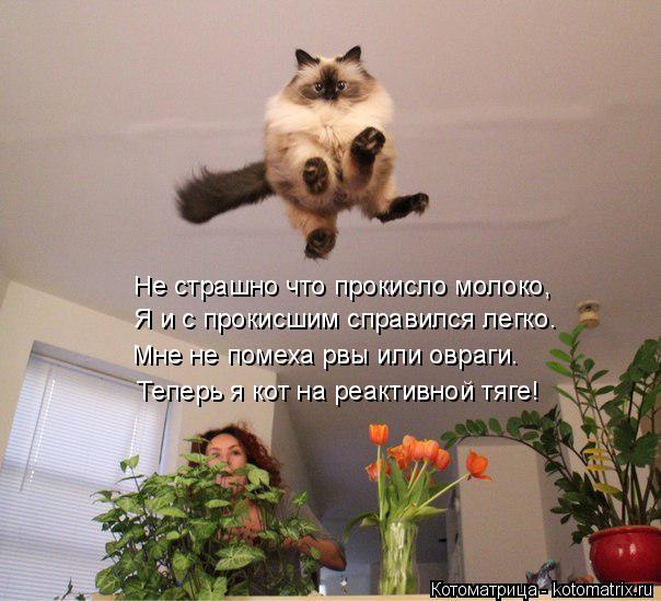 Я и с прокисшим справился легко. Не страшно что прокисло молоко, Теперь я кот на реактивной тяге! Мне... Котоматрица: Я и с прокисшим справился легко. Не страшно что прокисло молоко, Теперь я кот на реактивной тяге! Мне не помеха рвы или овраги.