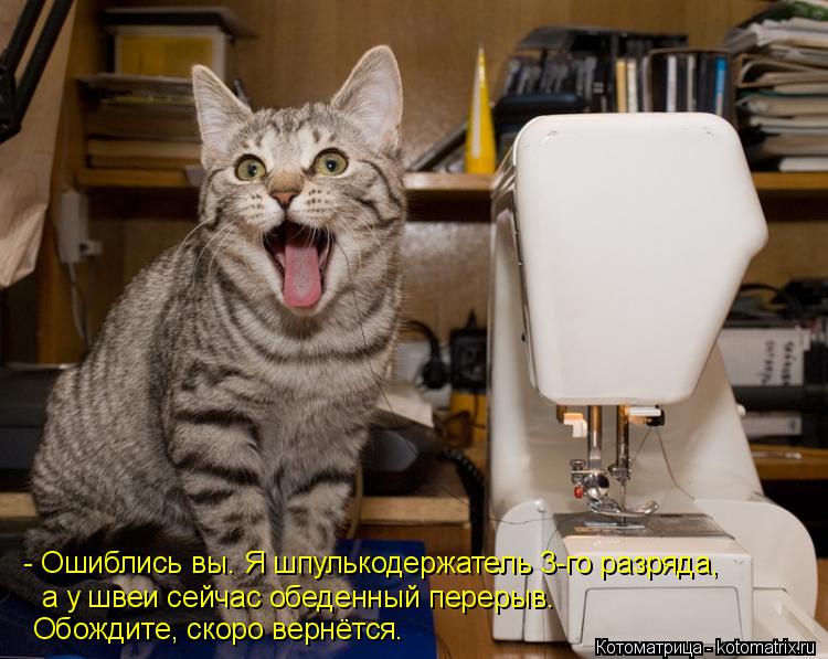 Котоматрица: - Ошиблись вы. Я шпулькодержатель 3-го разряда, а у швеи сейчас обеденный перерыв. Обождите, скоро вернётся.