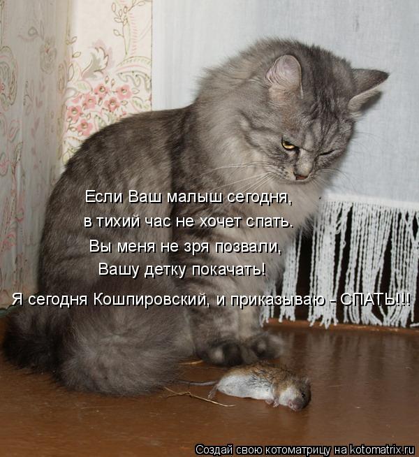 Если Ваш малыш сегодня, в тихий час не хочет спать. Вы меня не зря позвали, Вашу детку покачать! Я ... Котоматрица: Если Ваш малыш сегодня, в тихий час не хочет спать. Вы меня не зря позвали, Вашу детку покачать! Я сегодня Кошпировский, и приказываю - СПАТЬ!