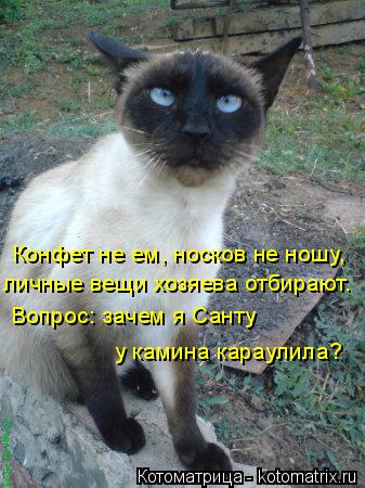 Конфет не ем, носков не ношу, личные вещи хозяева отбирают. Вопрос: зачем я Санту у камина караулила... Котоматрица: Конфет не ем, носков не ношу, личные вещи хозяева отбирают. Вопрос: зачем я Санту у камина караулила?
