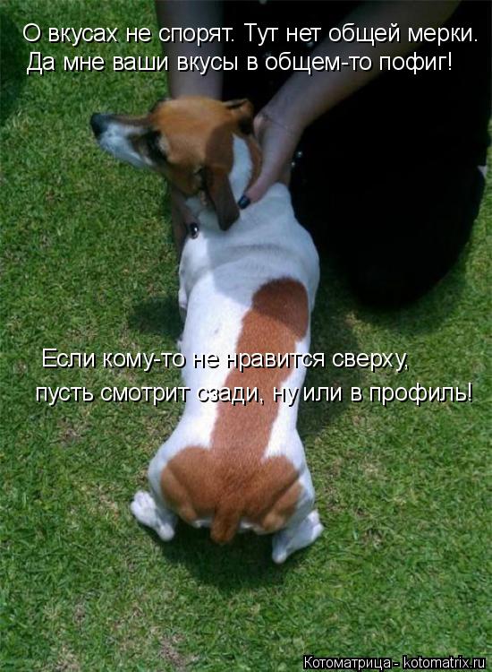 О вкусах не спорят. Тут нет общей мерки. Да мне ваши вкусы в общем-то пофиг! Если кому-то не нравится... Котоматрица: О вкусах не спорят. Тут нет общей мерки. Да мне ваши вкусы в общем-то пофиг! Если кому-то не нравится сверху, пусть смотрит сзади, ну или в проф