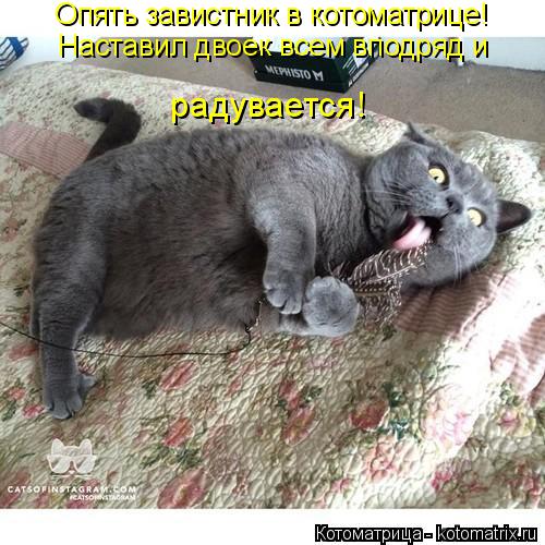 Наставил двоек всем вподряд и Опять завистник в котоматрице! радувается!... Котоматрица: Наставил двоек всем вподряд и Опять завистник в котоматрице! радувается!