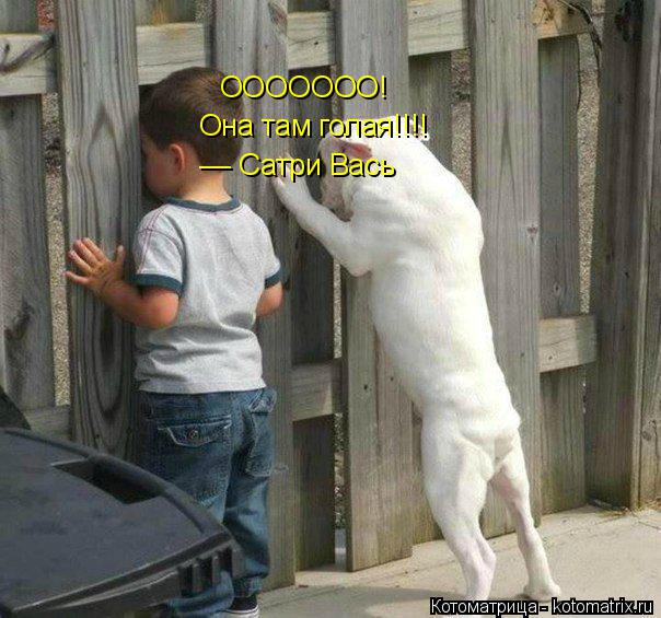 ООООООО! ООООООО! Она там голая!!!! Она там голая!!!! –– Сатри Вась... Котоматрица: ООООООО! ООООООО! Она там голая!!!! Она там голая!!!! –– Сатри Вась