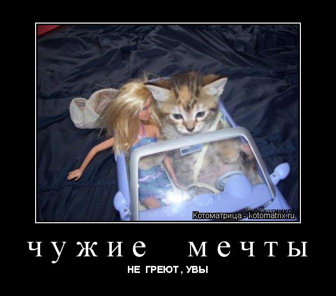 чужие мечты НЕ ГРЕЮТ , УВЫ... Котоматрица: чужие мечты НЕ ГРЕЮТ , УВЫ
