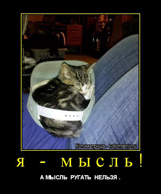я - мысль! А МЫСЛЬ РУГАТЬ НЕЛЬЗЯ .... Котоматрица: я - мысль! А МЫСЛЬ РУГАТЬ НЕЛЬЗЯ .