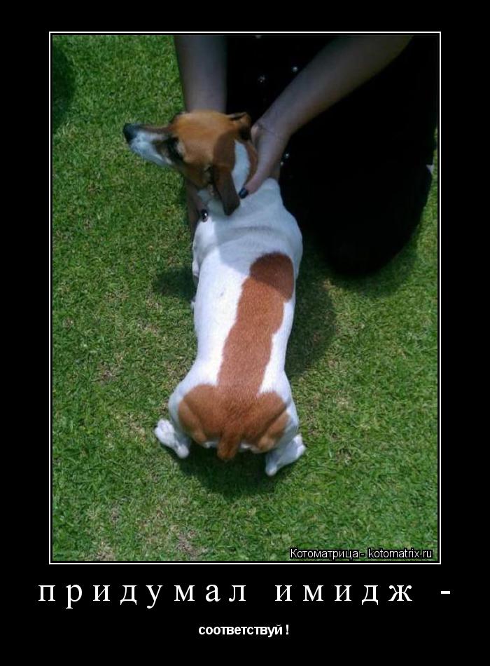 придумал имидж - соответствуй !... Котоматрица: придумал имидж - соответствуй !