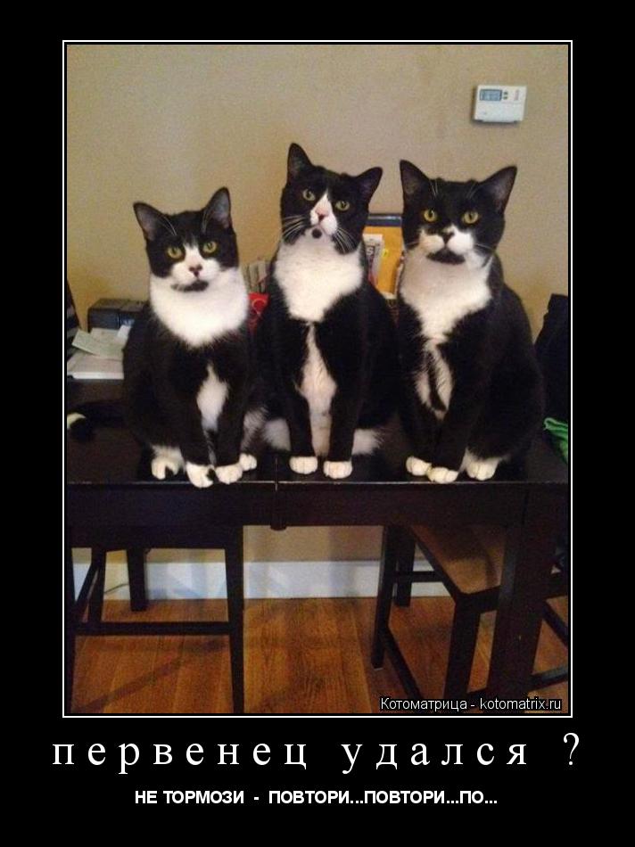 первенец удался ? НЕ ТОРМОЗИ - ПОВТОРИ...ПОВТОРИ...ПО...... Котоматрица: первенец удался ? НЕ ТОРМОЗИ - ПОВТОРИ...ПОВТОРИ...ПО...