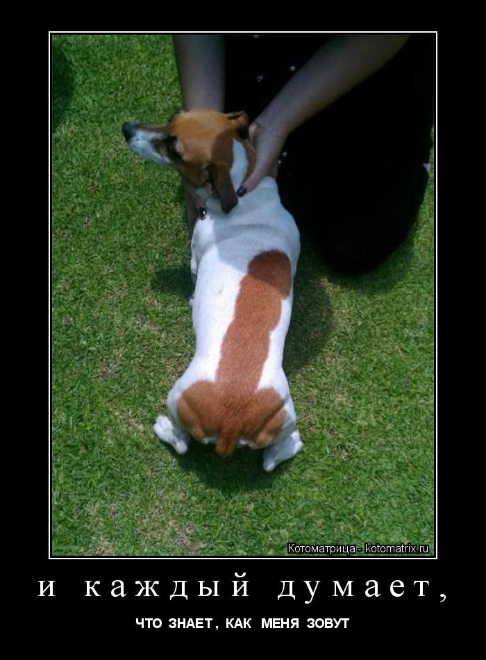 и каждый думает, ЧТО ЗНАЕТ , КАК МЕНЯ ЗОВУТ... Котоматрица: и каждый думает, ЧТО ЗНАЕТ , КАК МЕНЯ ЗОВУТ