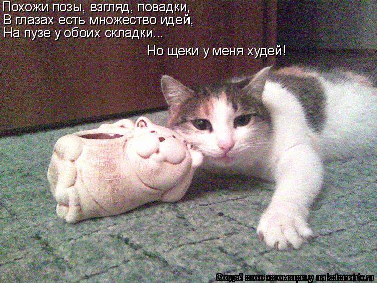 Похожи позы, взгляд, повадки, В глазах есть множество идей, На пузе у обоих складки... Но щеки у меня... Котоматрица: Похожи позы, взгляд, повадки, В глазах есть множество идей, На пузе у обоих складки... Но щеки у меня худей!
