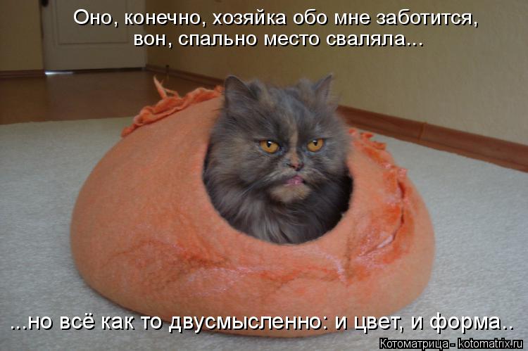 ...но всё как то двусмысленно: и цвет, и форма.. Оно, конечно, хозяйка обо мне заботится, вон, спаль... Котоматрица: ...но всё как то двусмысленно: и цвет, и форма.. Оно, конечно, хозяйка обо мне заботится, вон, спально место сваляла...