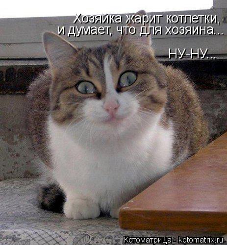 Хозяйка жарит котлетки, и думает, что для хозяина... НУ-НУ...... Котоматрица: Хозяйка жарит котлетки, и думает, что для хозяина... НУ-НУ...
