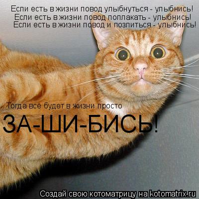 Если есть в жизни повод улыбнуться - улыбнись! Если есть в жизни повод поплакать - улыбнись! Если ест... Котоматрица: Если есть в жизни повод улыбнуться - улыбнись! Если есть в жизни повод поплакать - улыбнись! Если есть в жизни повод и позлиться - улыбнись! То