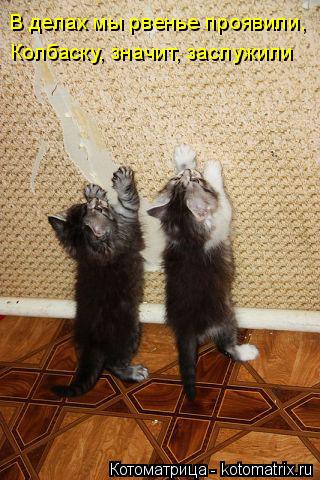 В делах мы рвенье проявили, Колбаску, значит, заслужили... Котоматрица: В делах мы рвенье проявили, Колбаску, значит, заслужили