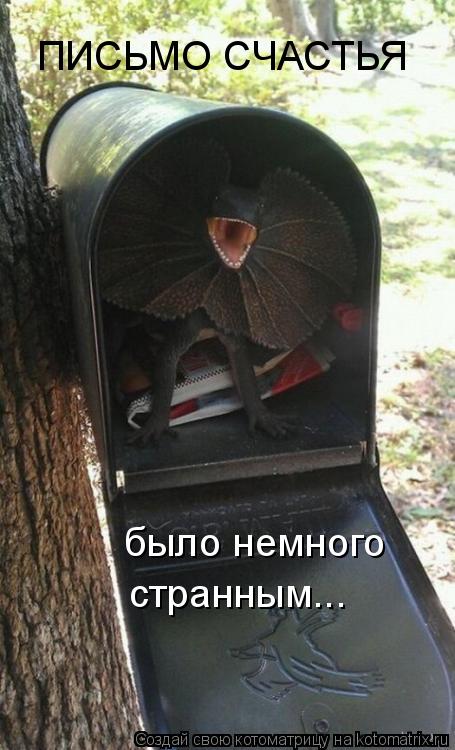 Котоматрица: ПИСЬМО СЧАСТЬЯ было немного странным...