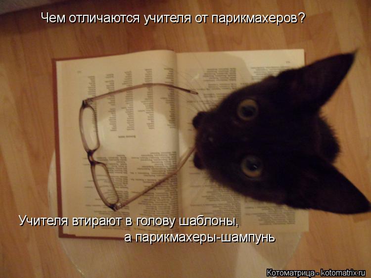 Чем отличаются учителя от парикмахеров? Учителя втирают в голову шаблоны, а парикмахеры-шампунь... Котоматрица: Чем отличаются учителя от парикмахеров? Учителя втирают в голову шаблоны, а парикмахеры-шампунь