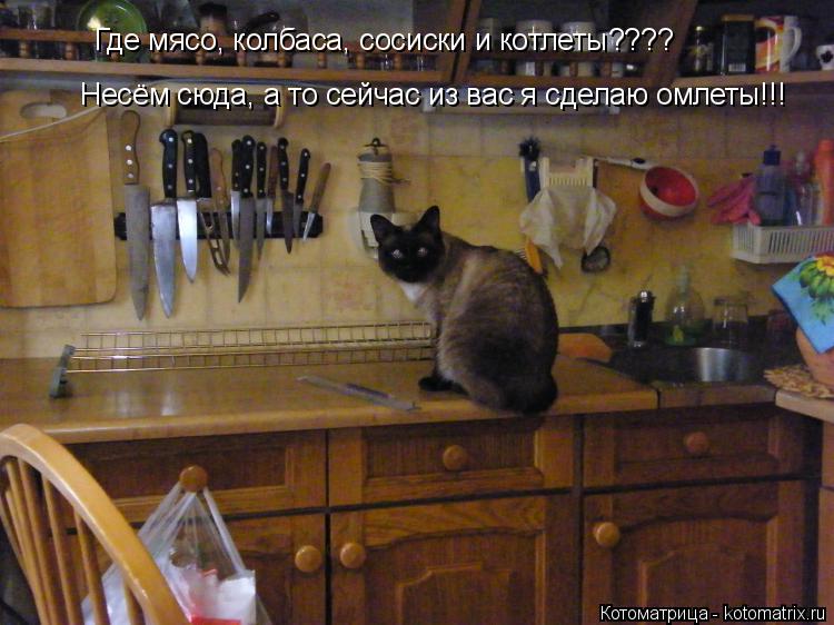 Котоматрица: Где мясо, колбаса, сосиски и котлеты???? Несём сюда, а то сейчас из вас я сделаю омлеты!!!