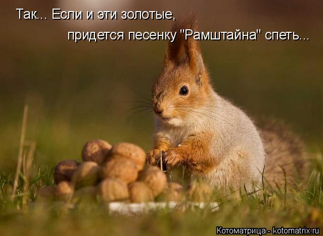 Котоматрица: Так... Если и эти золотые, придется песенку "Рамштайна" спеть...