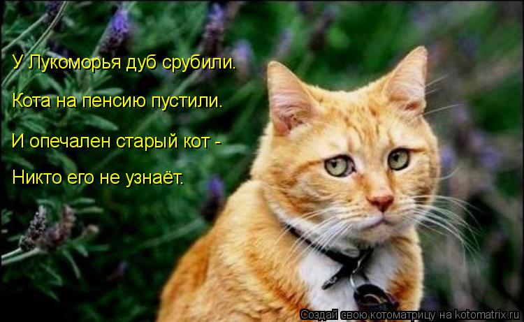 Котоматрица: Никто его не узнаёт. И опечален старый кот - Кота на пенсию пустили. У Лукоморья дуб срубили.