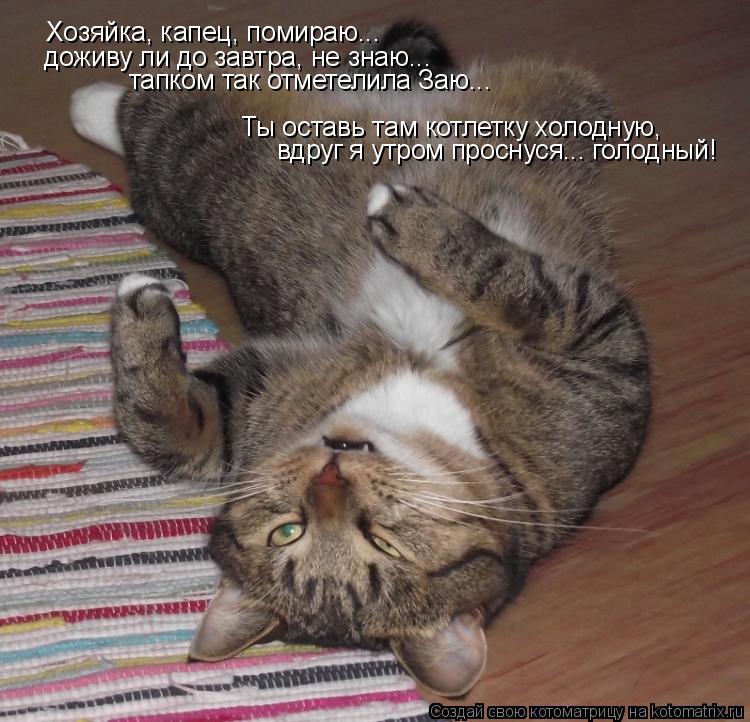 Котоматрица: Хозяйка, капец, помираю...  доживу ли до завтра, не знаю... тапком так отметелила Заю... Ты оставь там котлетку холодную, вдруг я утром проснуся..