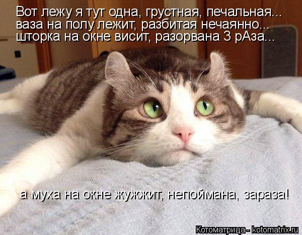 Котоматрица: Вот лежу я тут одна, грустная, печальная... ваза на полу лежит, разбитая нечаянно... а муха на окне жужжит, непоймана, зараза! шторка на окне вис